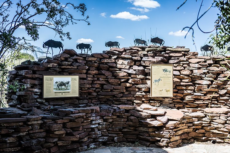 TZA MAR SerengetiNP 2016DEC24 VisitorCentre 016